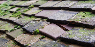 Pemberton roof repair costs